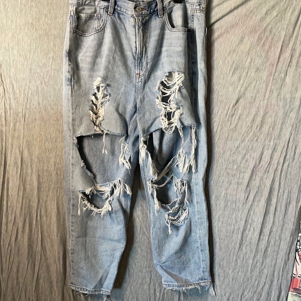 American Eagle Severe Distressed Mom Jeans